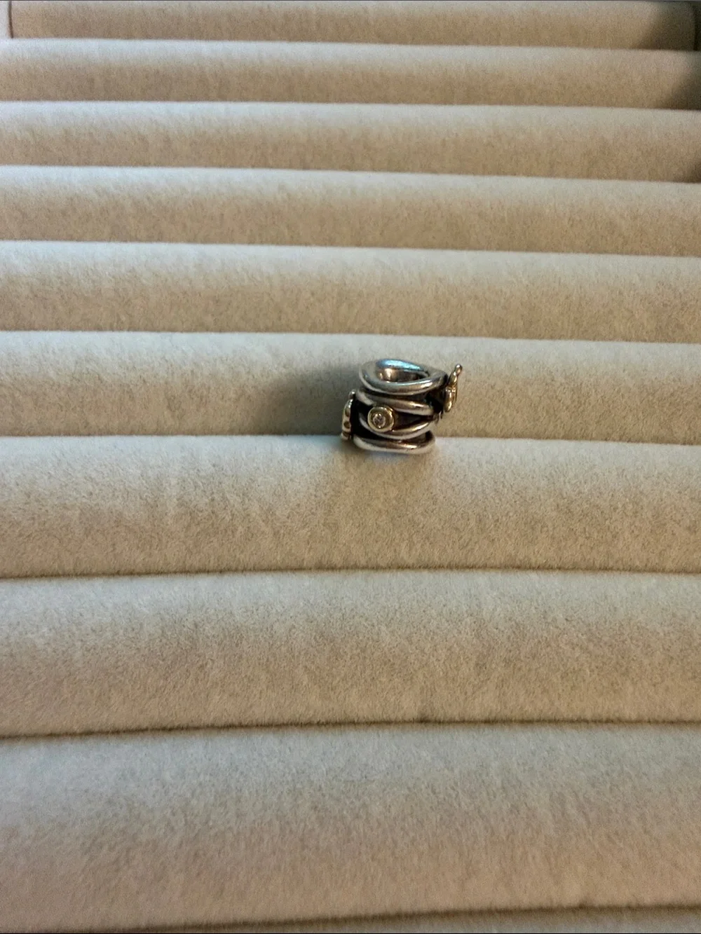 Pandora retired rose